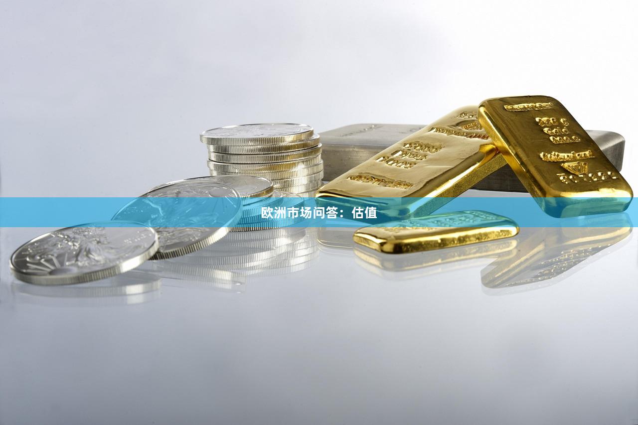 欧洲市场问答：估值